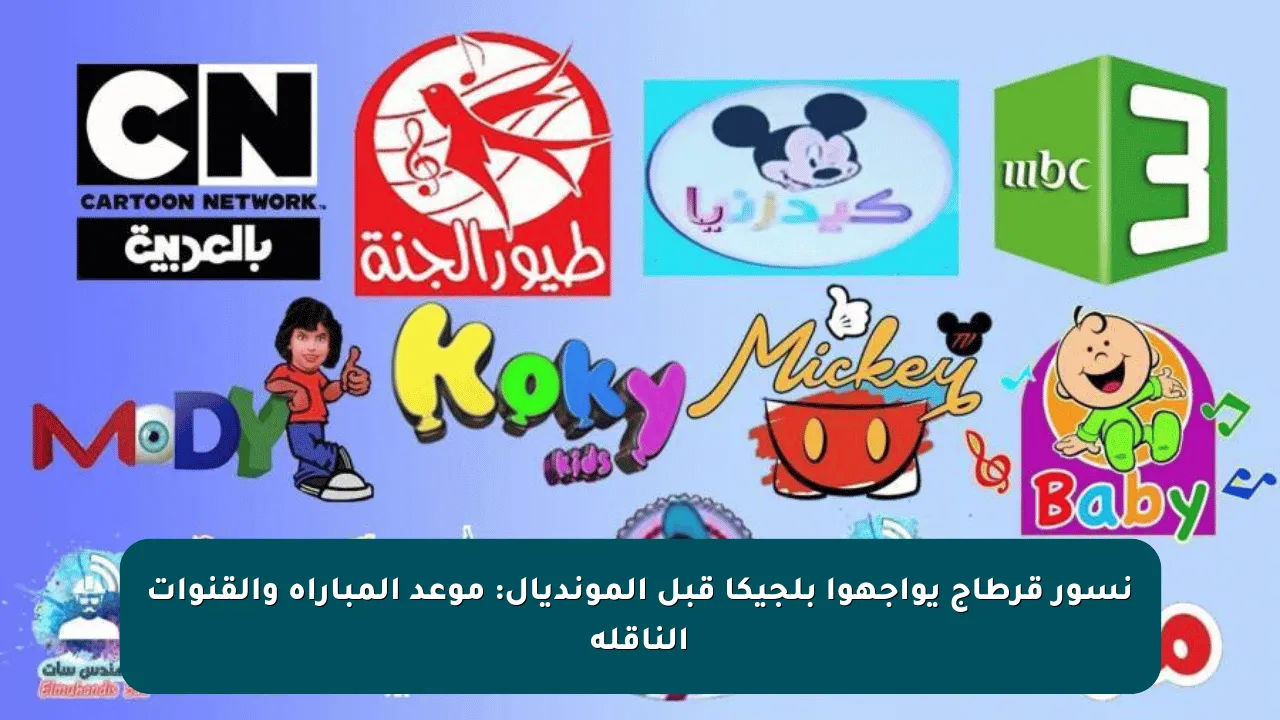 نسور قرطاج يواجهوا بلجيكا قبل المونديال: موعد المباراة والقنوات الناقلة